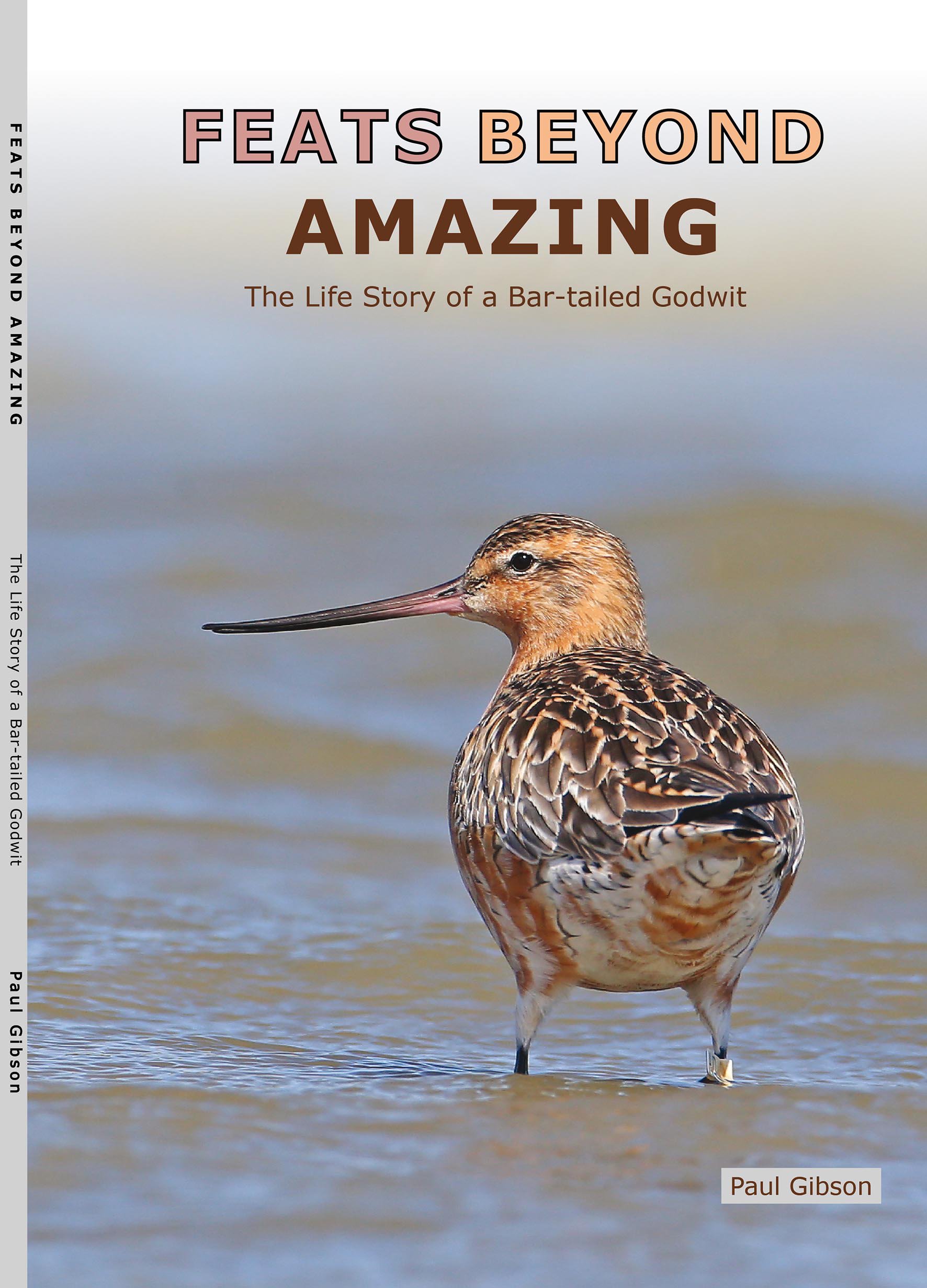 AJD Book Cover a.jpg