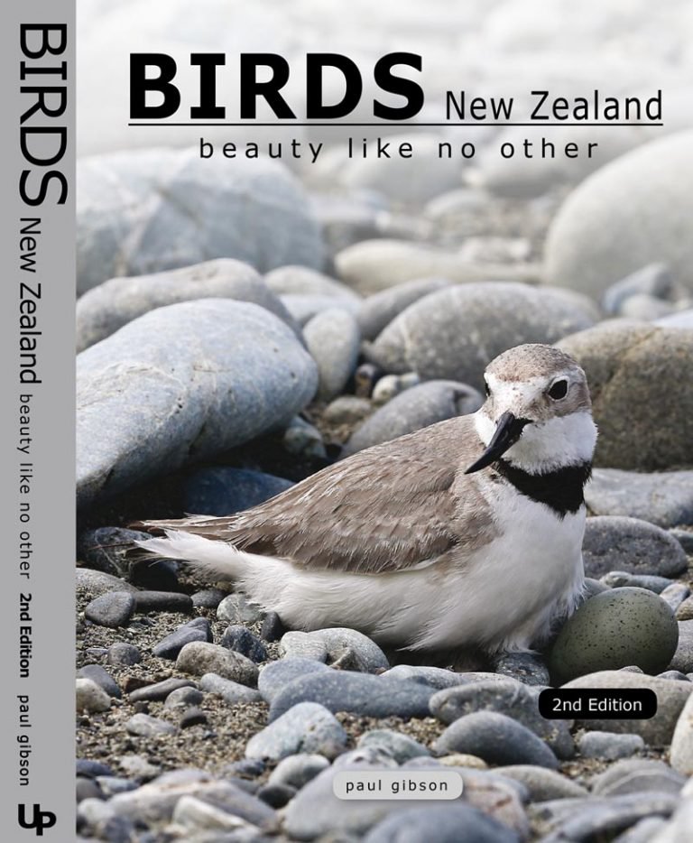 BIRDS-NZ-2nd-Edition-Case-768x934.jpg