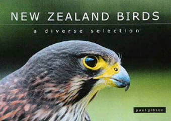 New-Zealand-Birds.gif