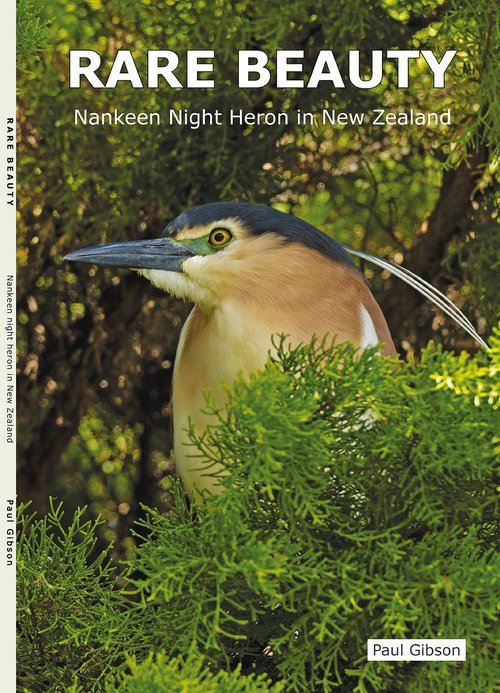 Rare Beauty Cover small.jpg