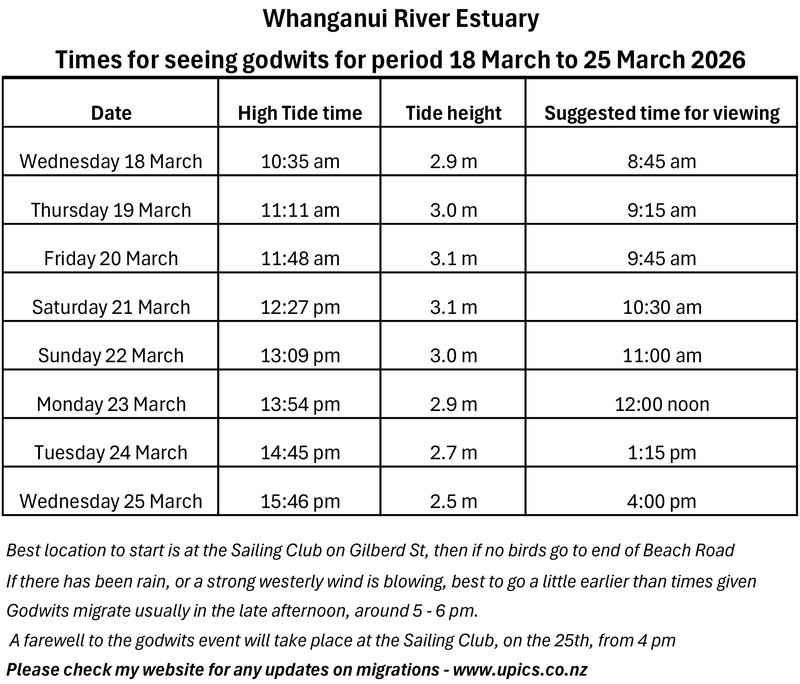 Tide times for godwit viewing.jpg